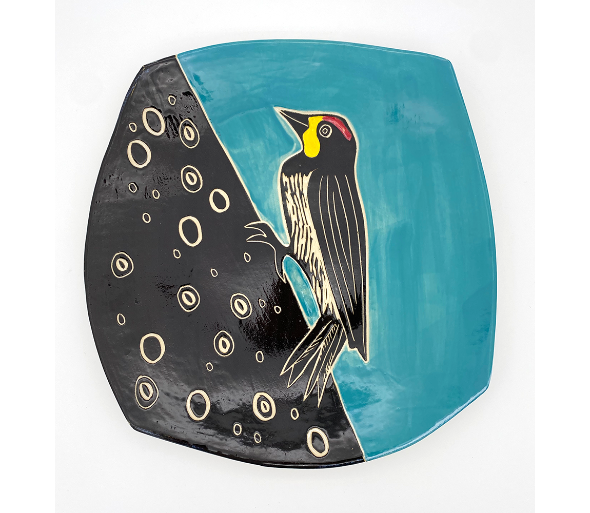 Acorn Woodpecker - Julia Janeway
